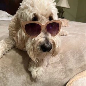 Meet your Posher, Patricia